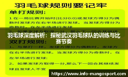 羽毛球深度解析：探秘武汉羽毛球队的训练与比赛节奏