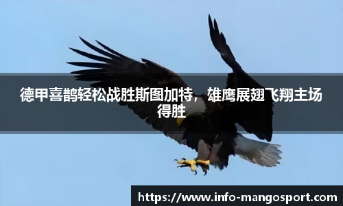 芒果体育官网入口