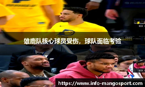 芒果体育官网入口