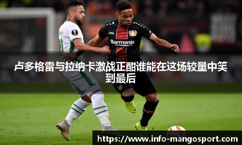 芒果体育官网入口