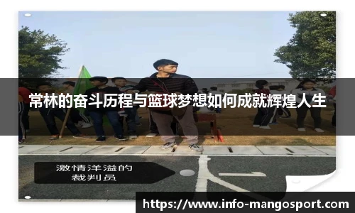 芒果体育官网入口