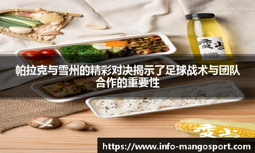 芒果体育官网入口